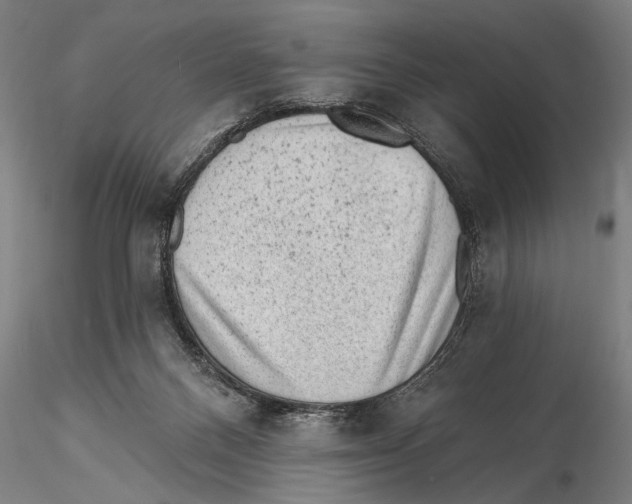 X0000115380120200912011214