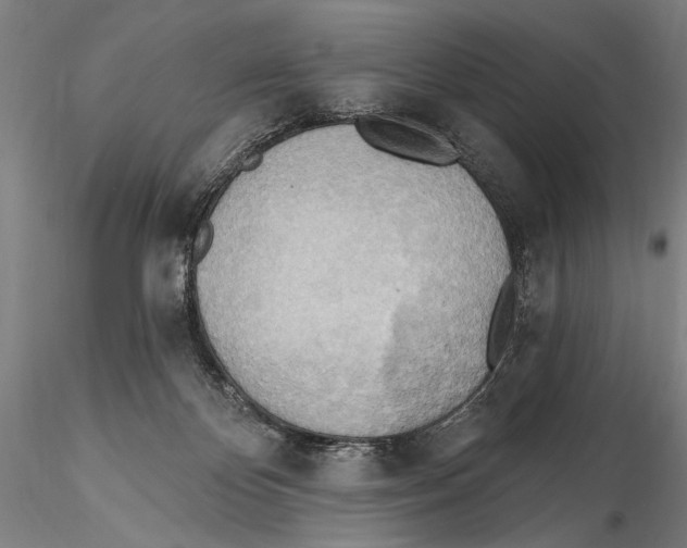 X0000115380124200912011214