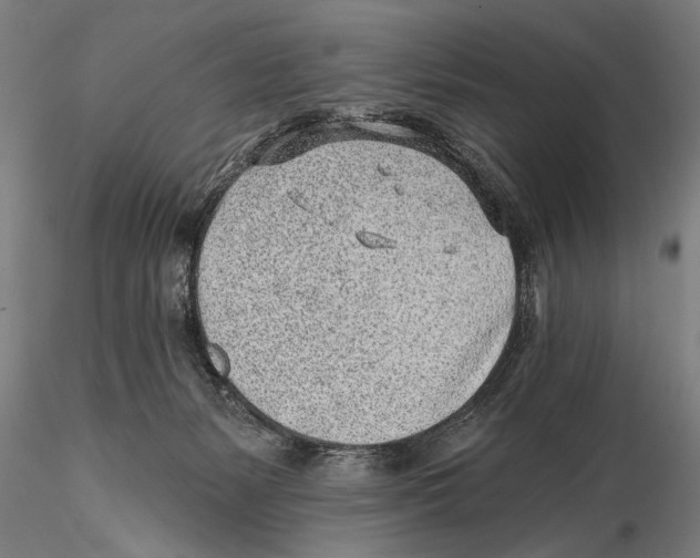 X0000115380127200912011214