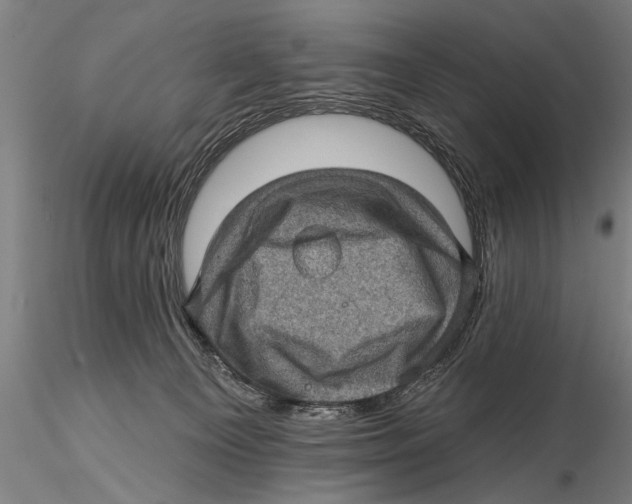 X0000115380129200912011214