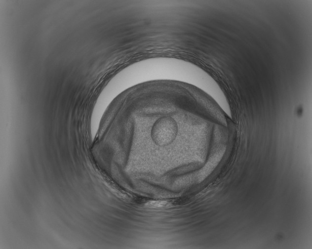 X0000115380133200912011214