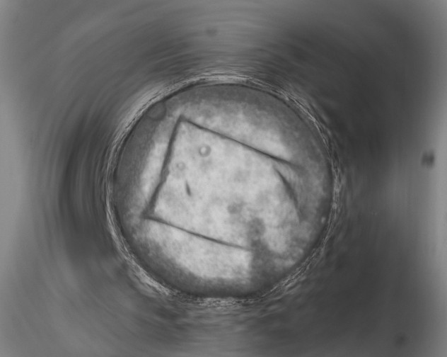 X0000115380145200912011213