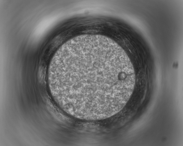 X0000115380146200912011213