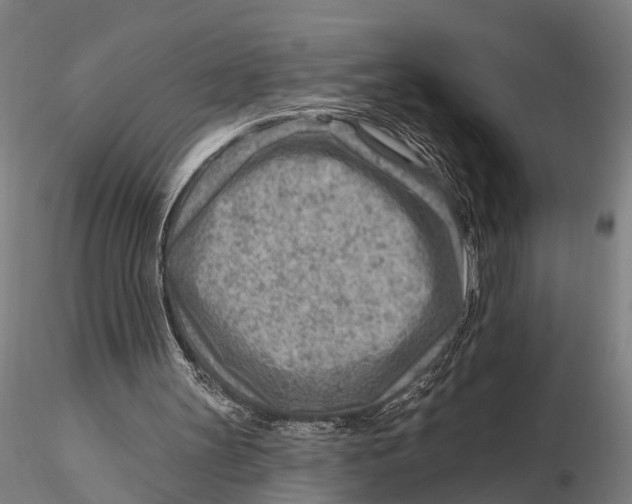 X0000115380147200912011213