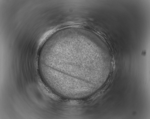 X0000115380149200912011213