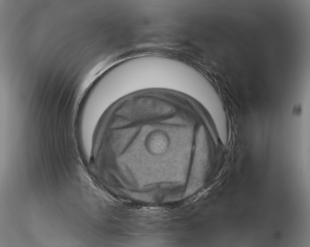 X0000115380150200912011213