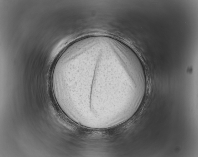 X0000115380151200912011213