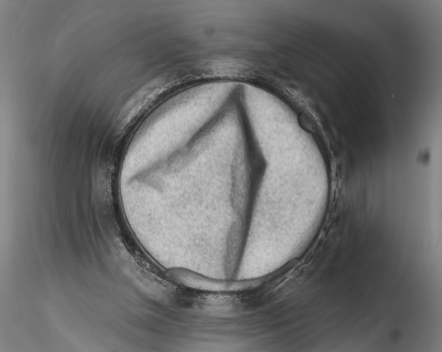 X0000115380154200912011213