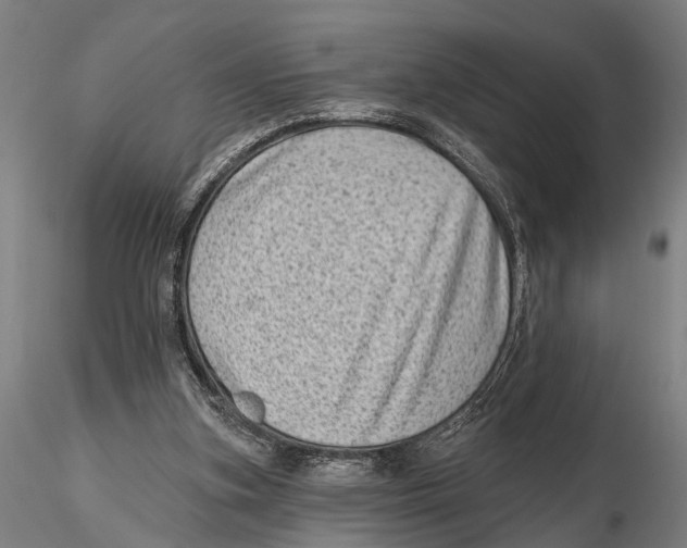 X0000115380155200912011213