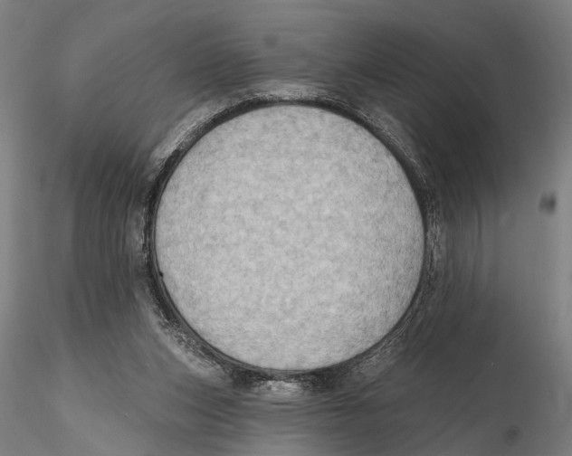 X0000115380159200912011214