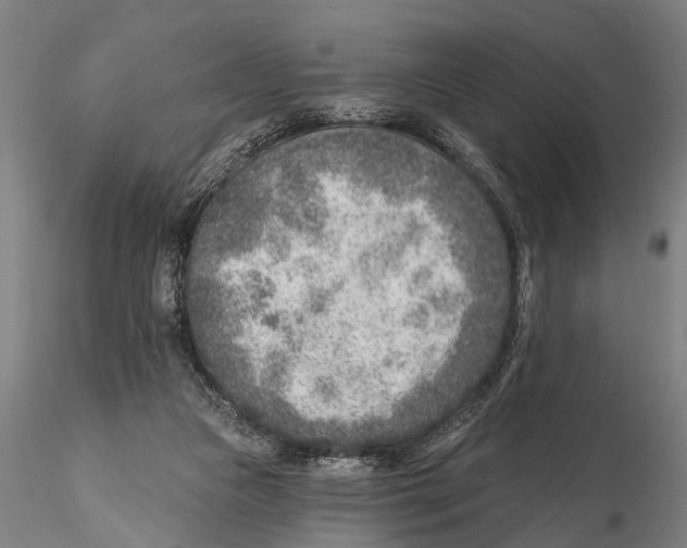 X0000115380161200912011214