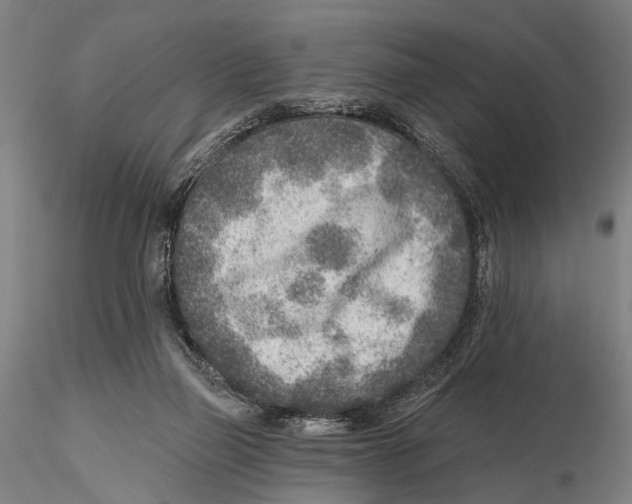 X0000115380165200912011214