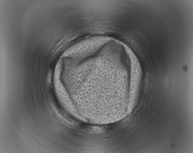 X0000115380166200912011214