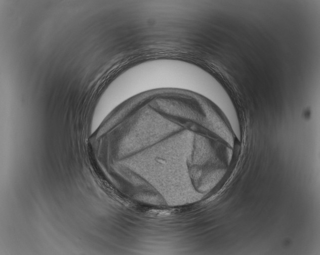 X0000115380170200912011214