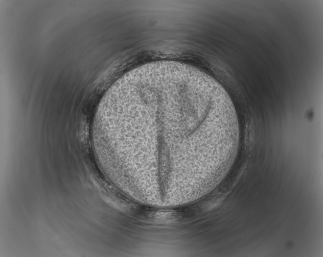 X0000115380173200912011214