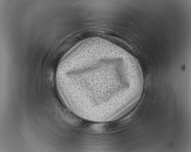 X0000115380178200912011214