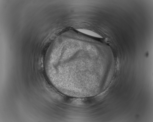 X0000115380182200912011214