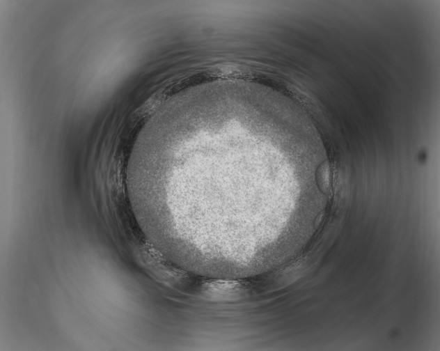 X0000115380189200912011214