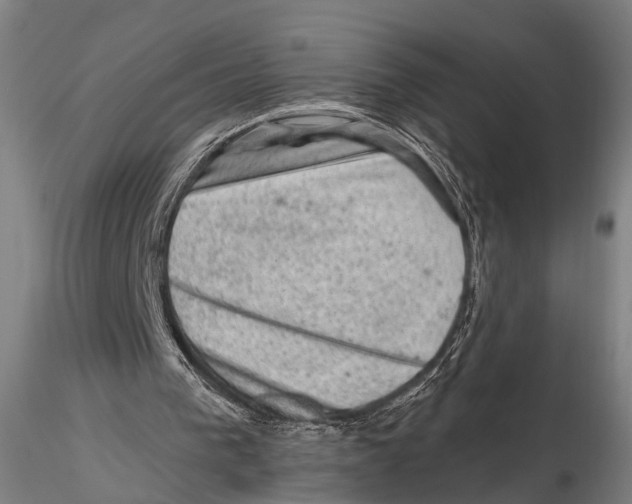 X0000115380193200912011213