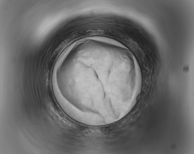 X0000115380194200912011213