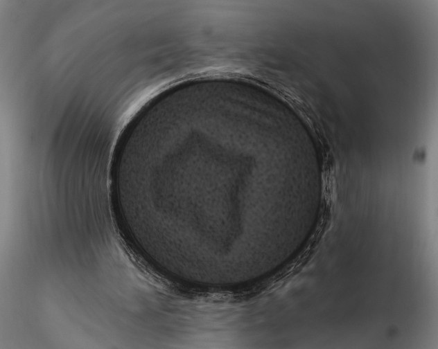 X0000115380196200912011213