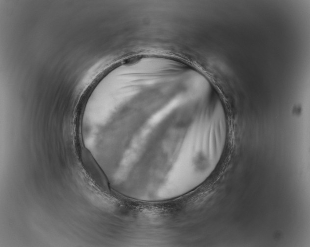 X0000115380199200912011213