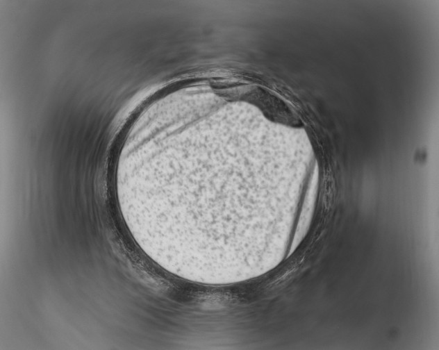 X0000115380200200912011213