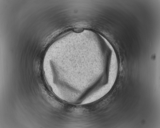 X0000115380201200912011213