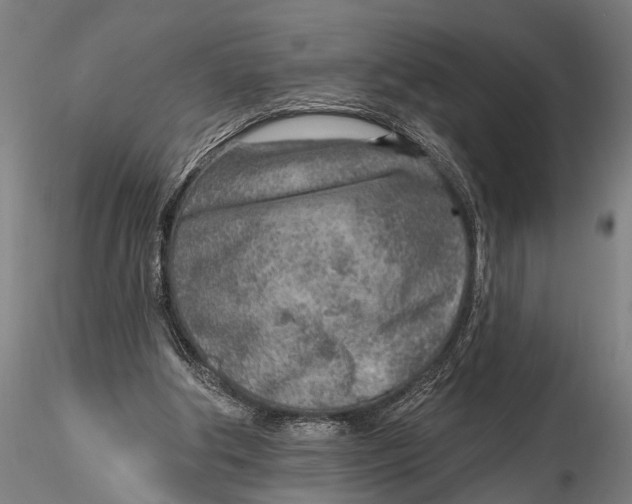 X0000115380202200912011213