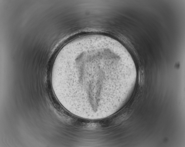 X0000115380204200912011213