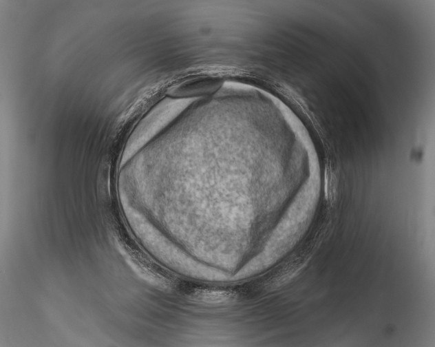 X0000115380205200912011213