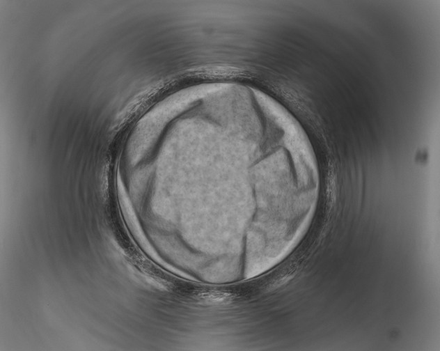 X0000115380206200912011213