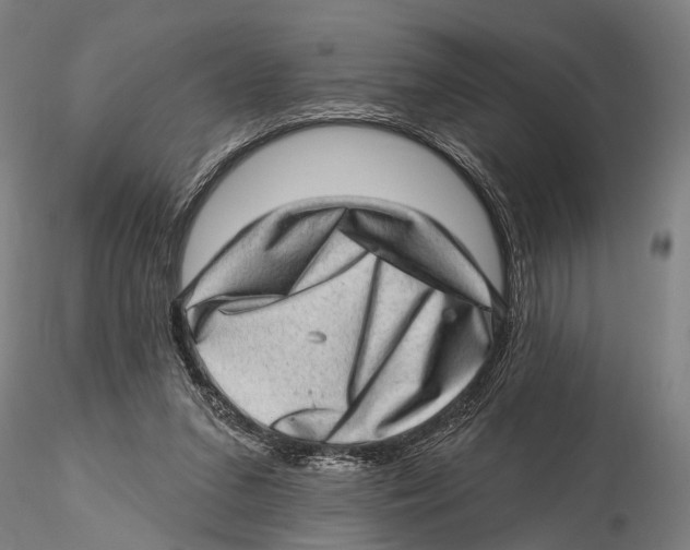 X0000115380207200912011213