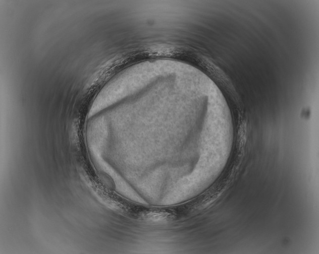 X0000115380209200912011213