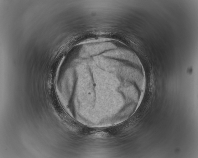 X0000115380210200912011213