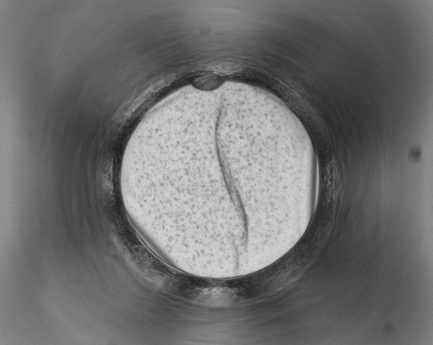 X0000115380212200912011213