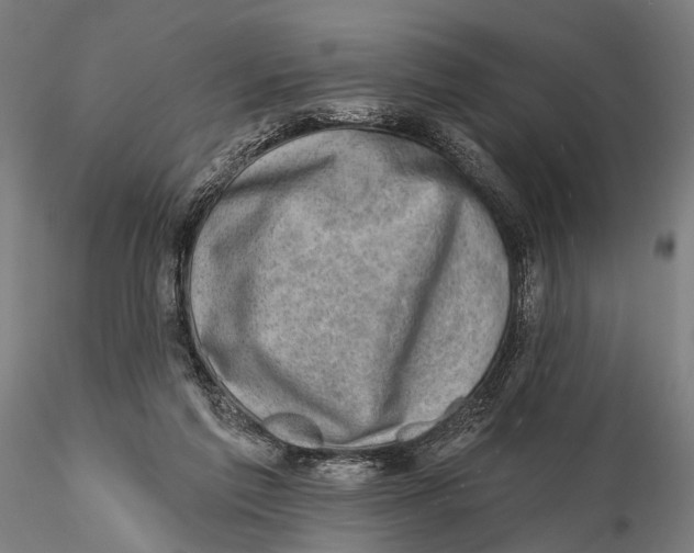 X0000115380213200912011213