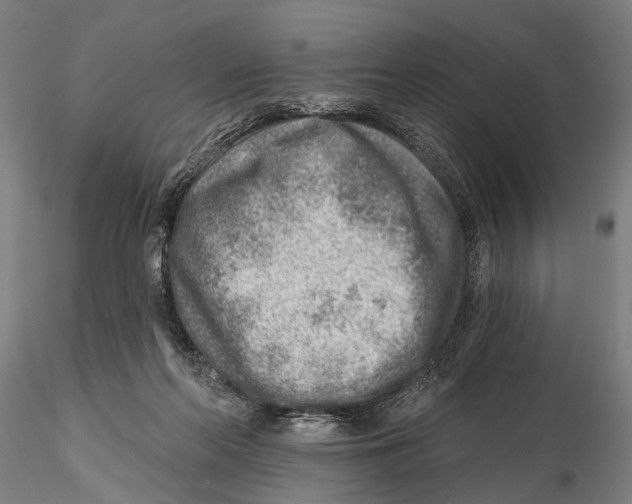 X0000115380214200912011213