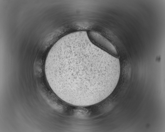 X0000115380215200912011213