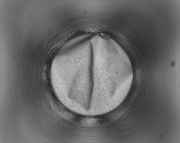 X0000115380217200912011213