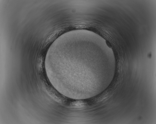 X0000115380219200912011213