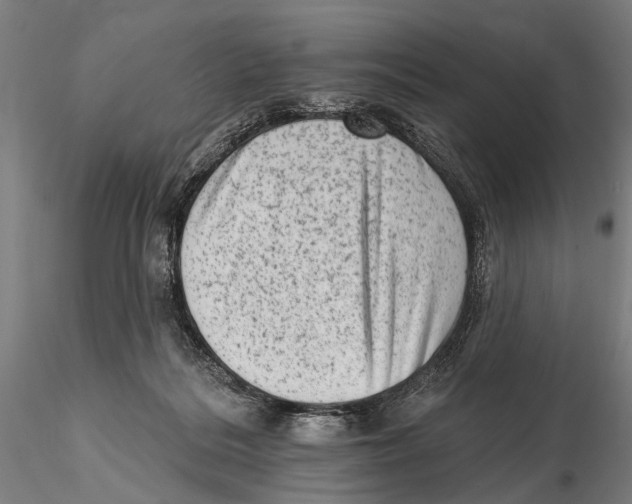 X0000115380220200912011213