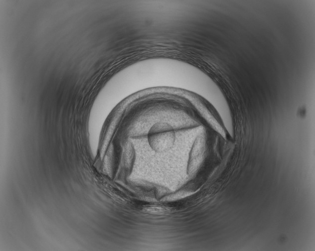 X0000115380221200912011213