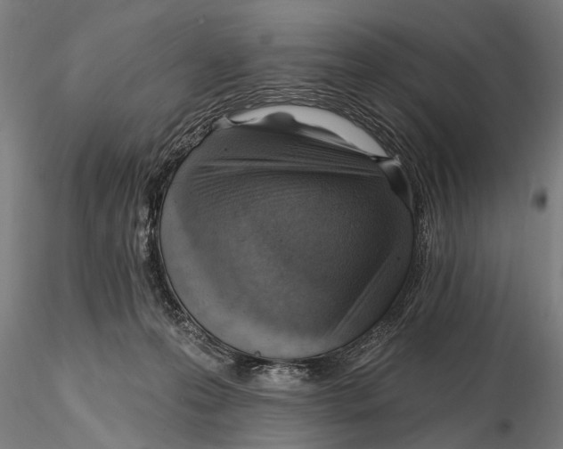 X0000115380223200912011213