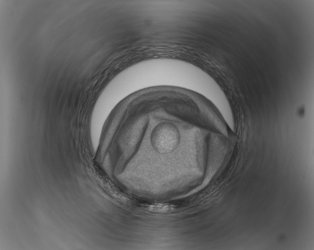 X0000115380225200912011213