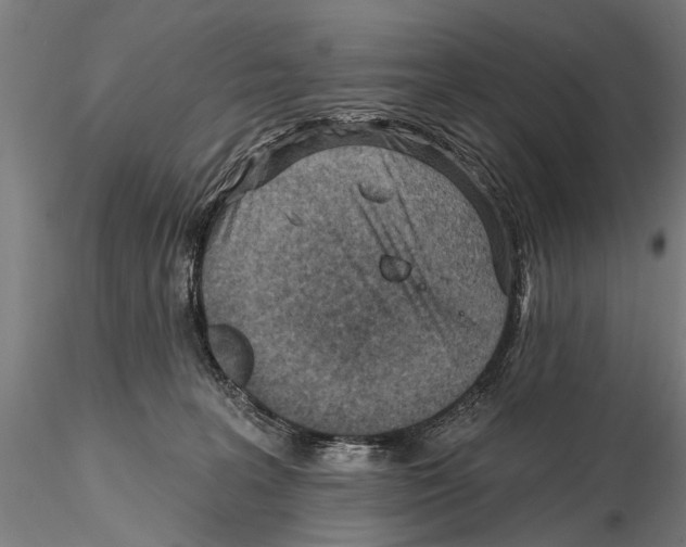 X0000115380227200912011213