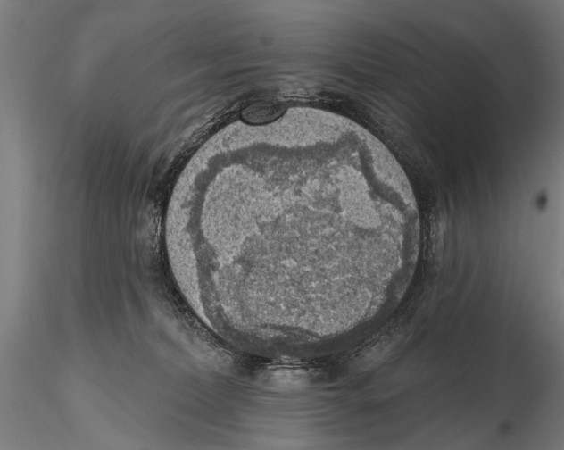 X0000115380228200912011213