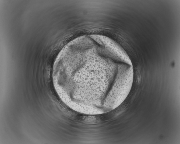 X0000115380230200912011213