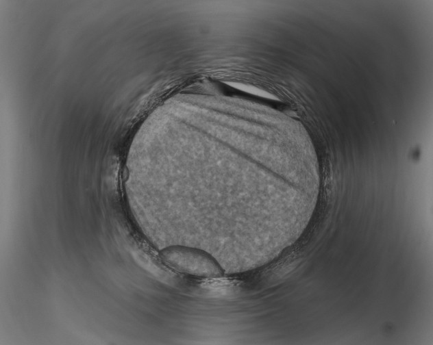 X0000115380231200912011213