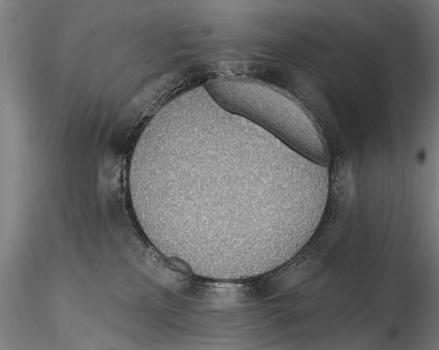 X0000115380233200912011213